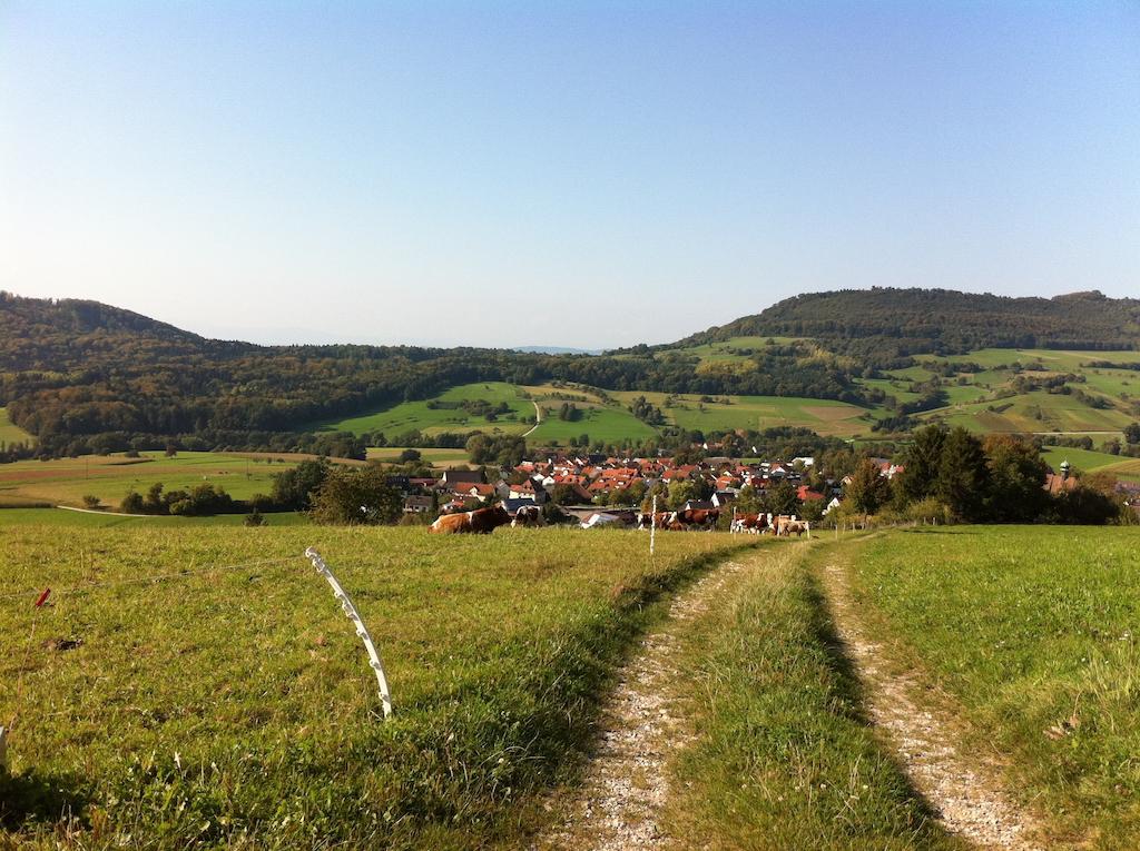 Luxus Appartement Schwarzwald Bei Freiburg 4 Schlafzimmer Sauna Sölden 客房 照片