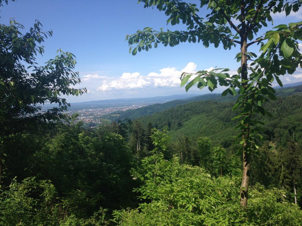 Luxus Appartement Schwarzwald Bei Freiburg 4 Schlafzimmer Sauna Sölden 外观 照片